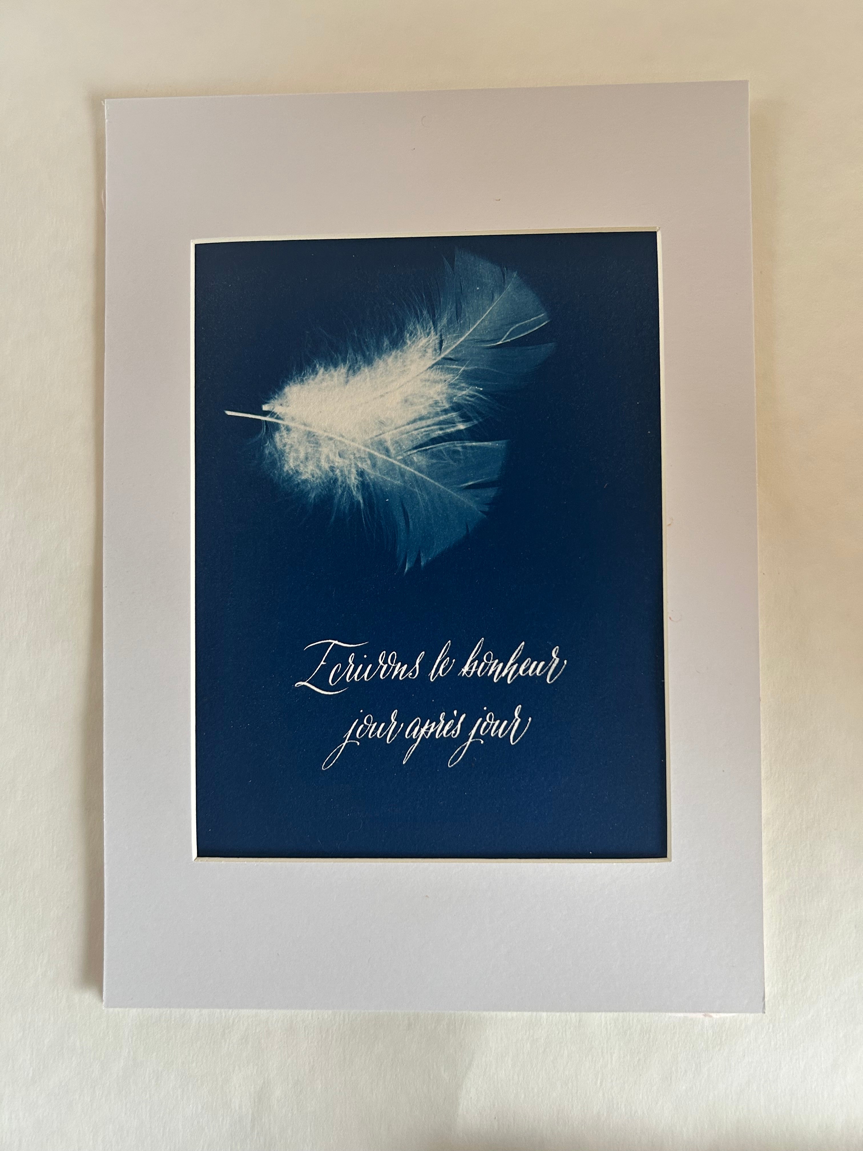 Œuvre d'art originale Plumes  – Cyanotype et pigments