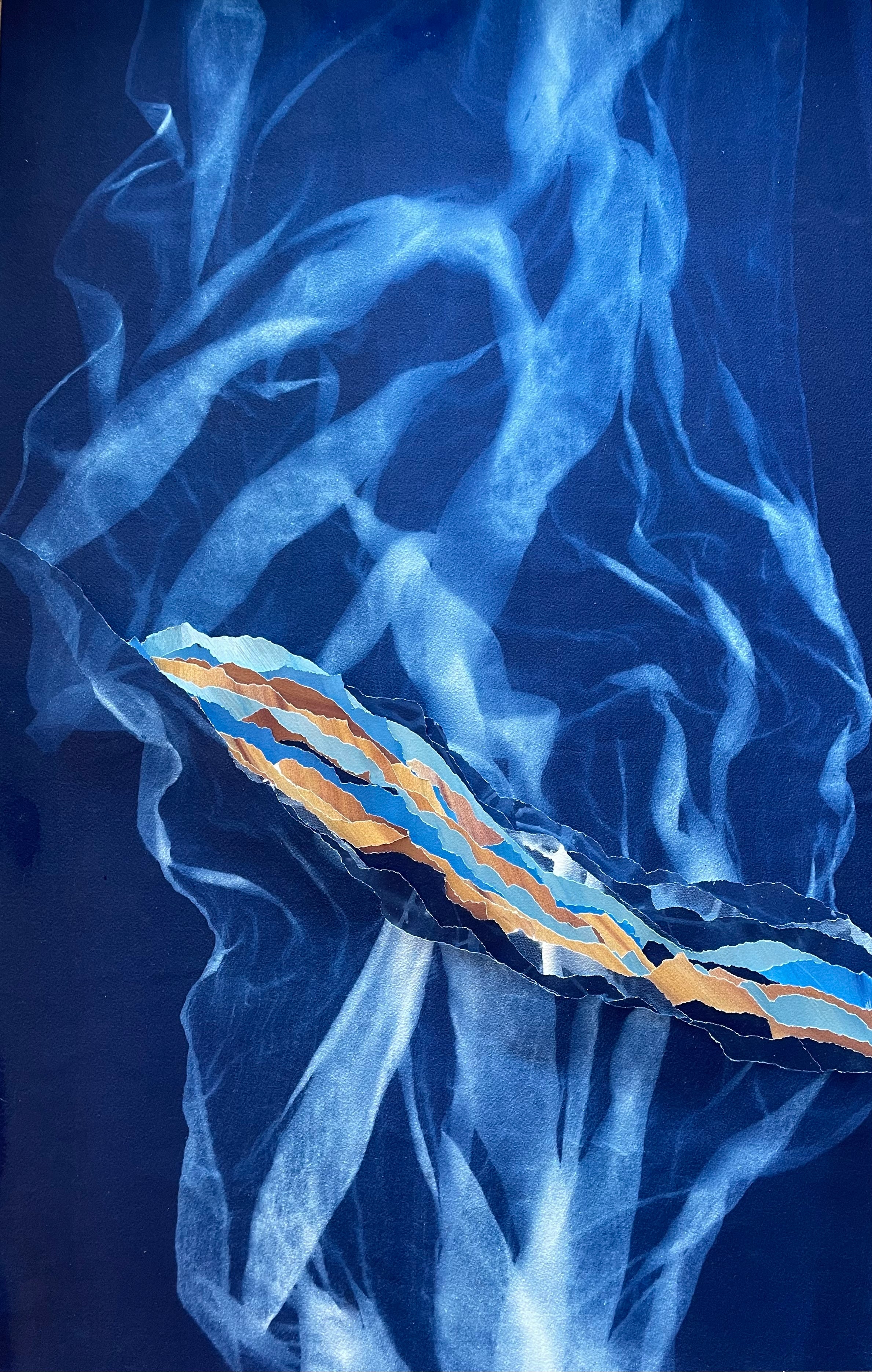 Cyanotype original bleu de Prusse,  œuvre unique et originale, pigments avec certificat d'authenticité