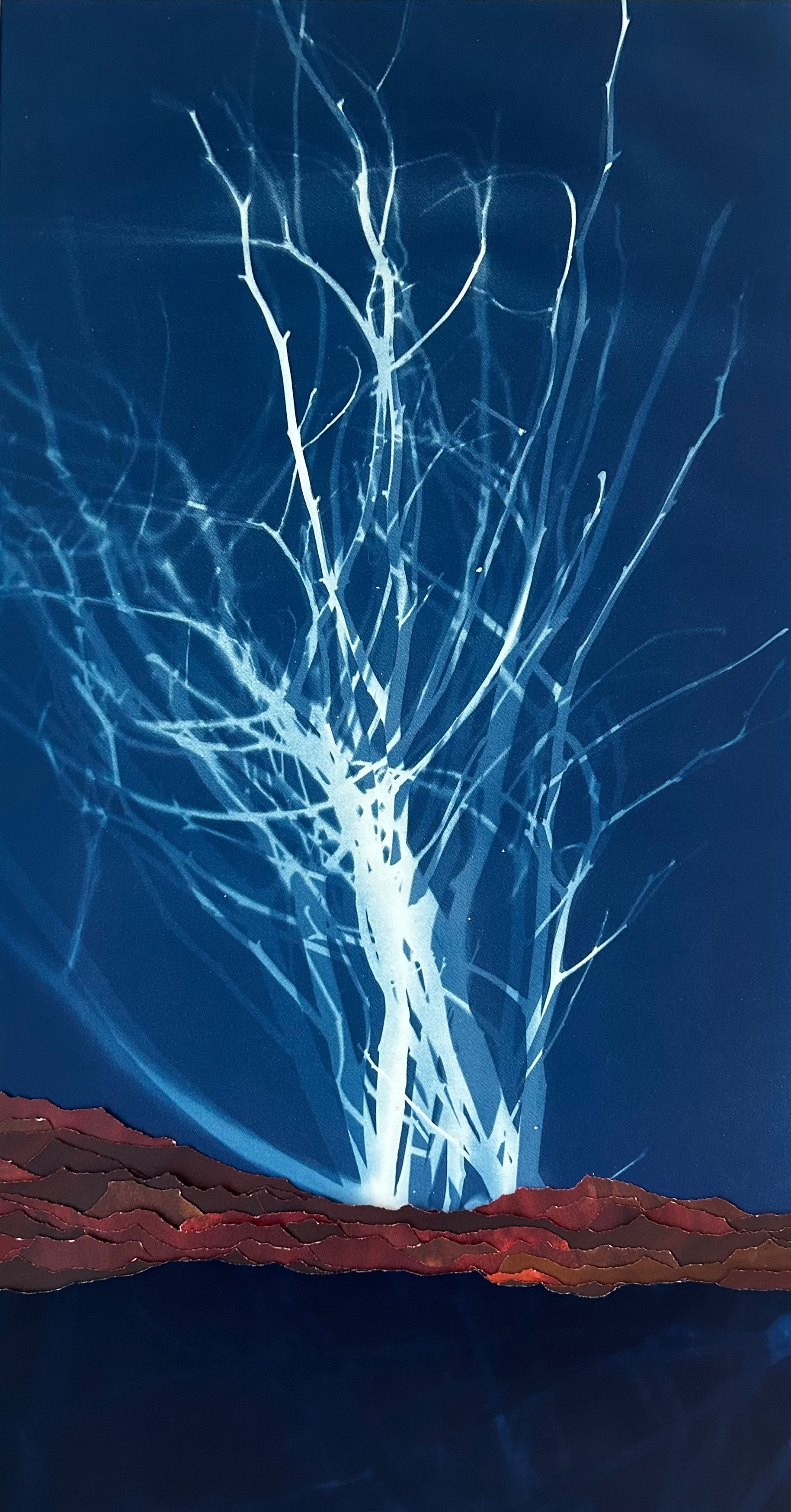 Œuvre d'art originale Elévation – Cyanotype et pigments